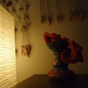 Meet your Posher, Valen